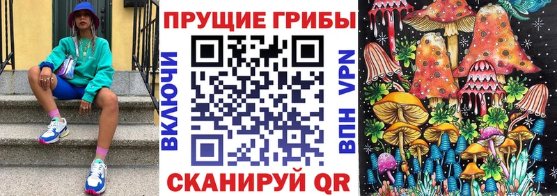 наркота  Бодайбо  Псилоцибиновые грибы MAGIC MUSHROOMS 